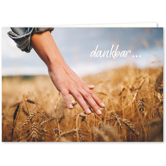 Hand am Kornfeld