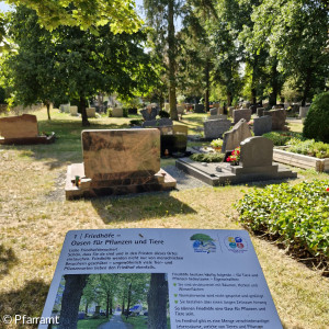 Friedhof Schwarzach am Parkplatzeingang 2026